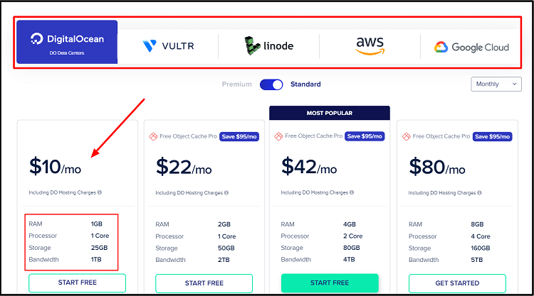 Cloudways managed hosting pricing