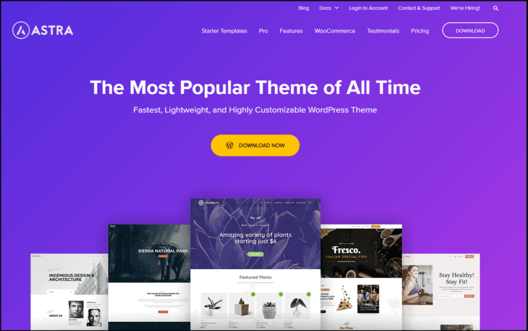 Astra Best WordPress theme 2024 home